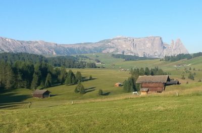 Haus Haselrieder Albert - Feirenwohnung Völs am Schlern - Südtirol