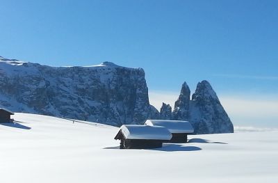 Haus Haselrieder Albert - Feirenwohnung Völs am Schlern - Südtirol