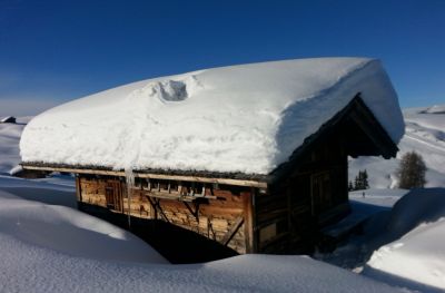 Haus Haselrieder Albert - Feirenwohnung Völs am Schlern - Südtirol