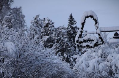 Haus Haselrieder Albert - Feirenwohnung Völs am Schlern - Südtirol