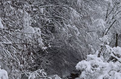 Haus Haselrieder Albert - Feirenwohnung Völs am Schlern - Südtirol
