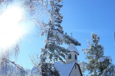 Haus Haselrieder Albert - Feirenwohnung Völs am Schlern - Südtirol
